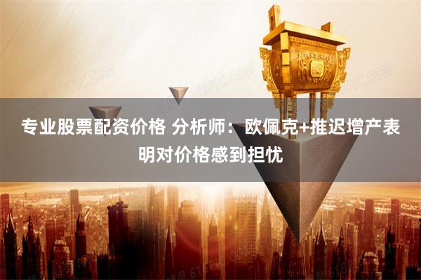 专业股票配资价格 分析师：欧佩克+推迟增产表明对价格感到担忧